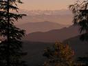 Besides having interesting statues, the Hindu temple on the hill over Shimla offers fantastic views!